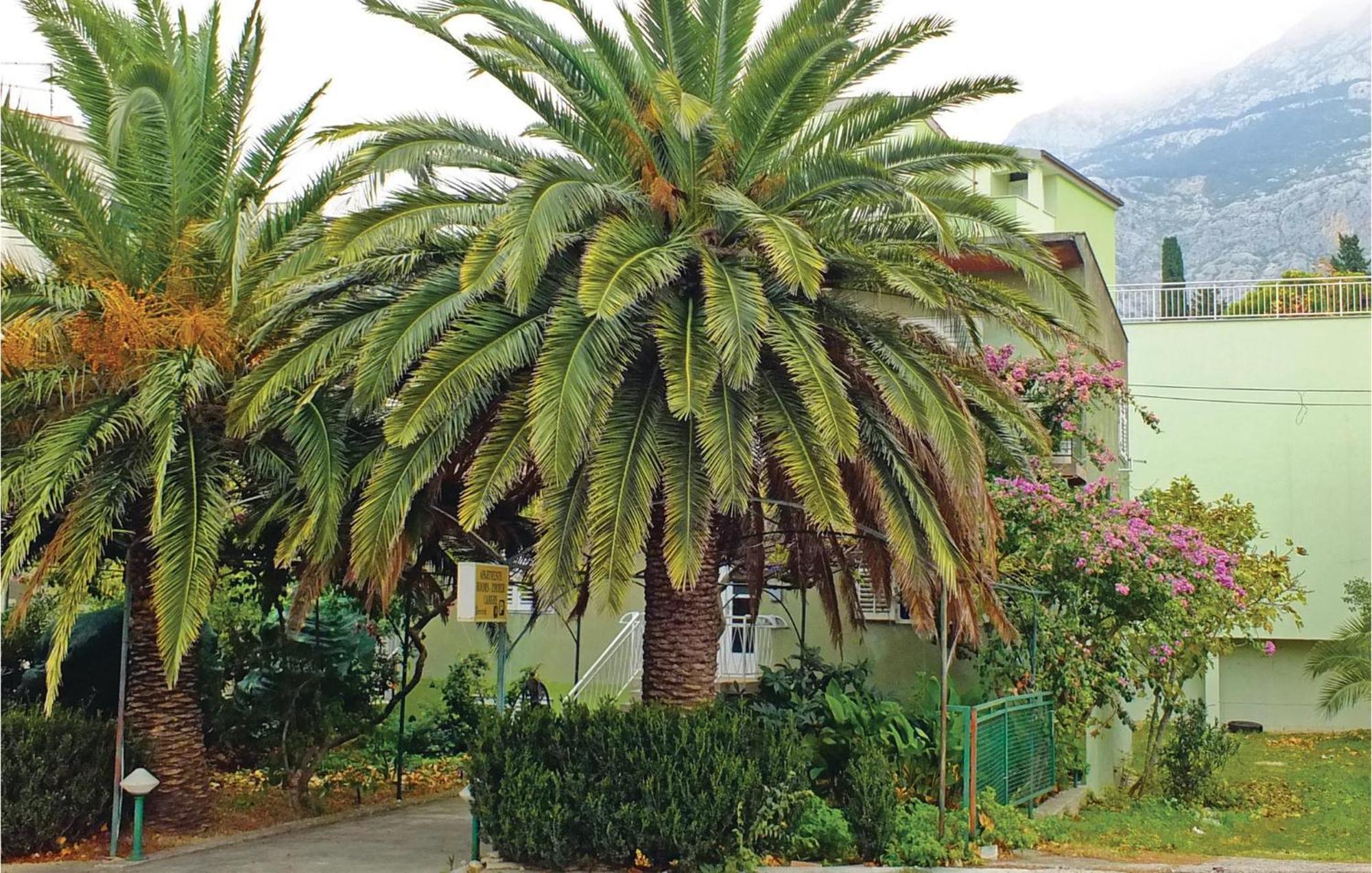 Lovely Apartment In Makarska With Wifi Exterior photo